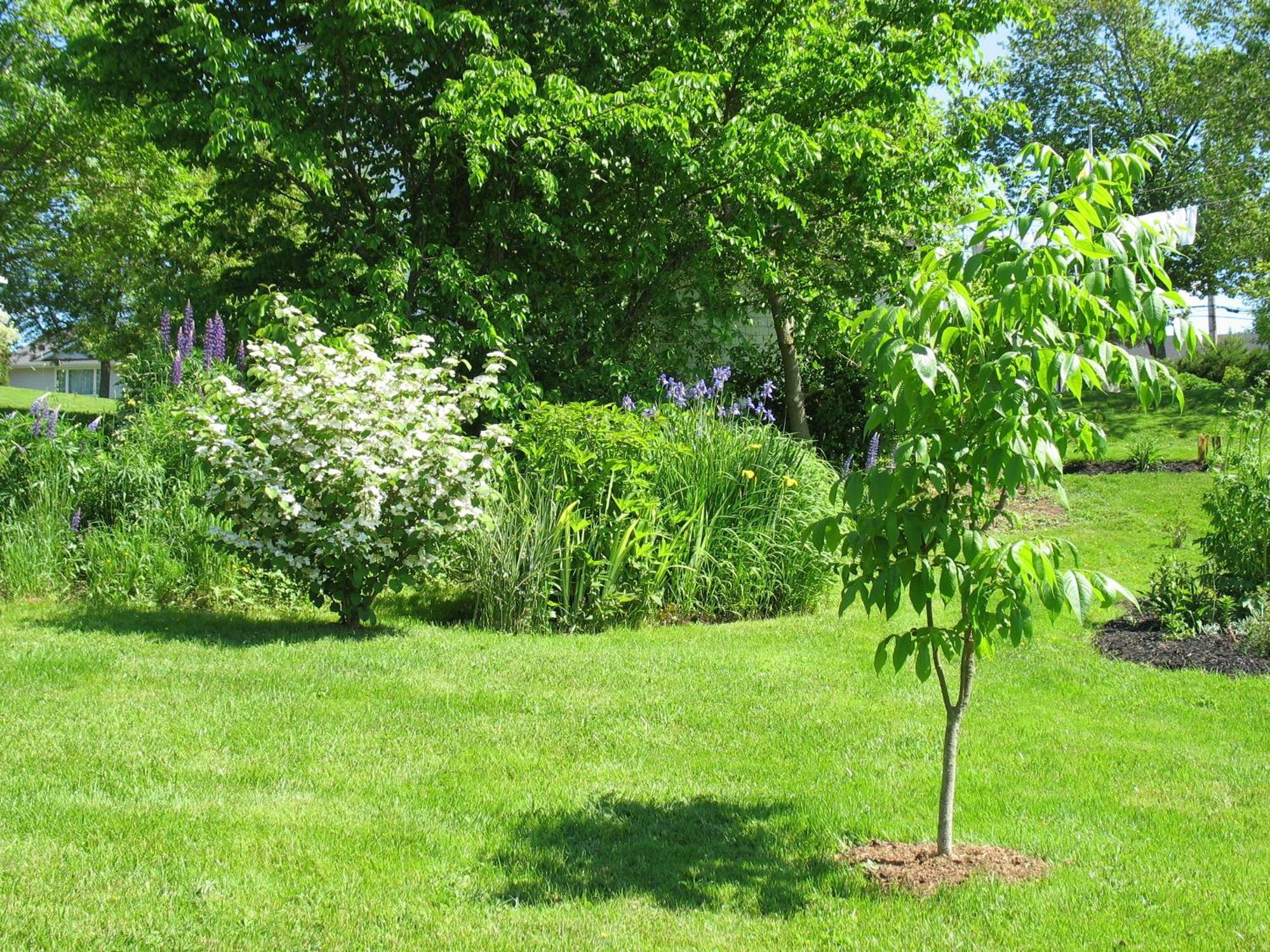 The Nelson House Bed And Breakfast Stewiacke Экстерьер фото