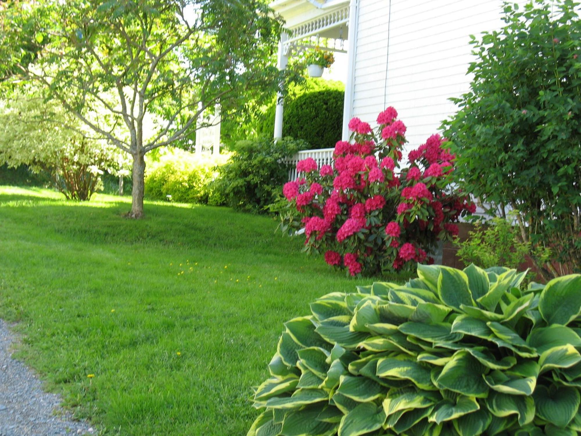 The Nelson House Bed And Breakfast Stewiacke Экстерьер фото